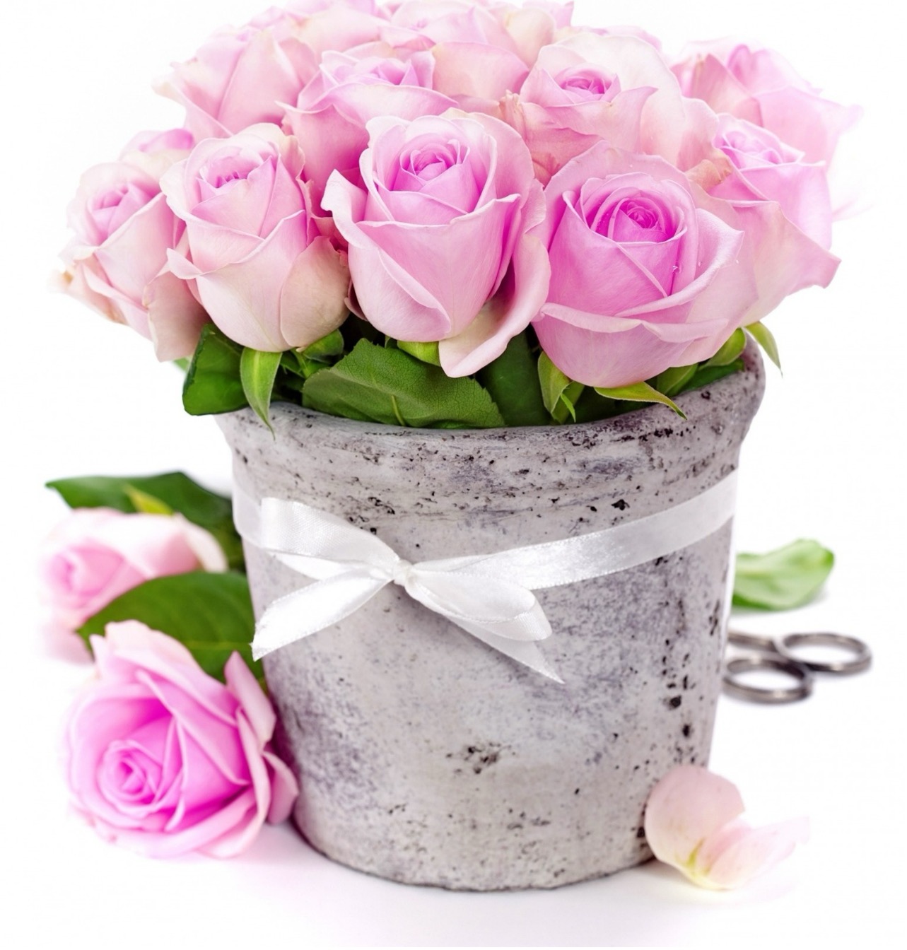 Międzynarodowy Dzień Kobiet i Mężczyzn (2026) – zdjęcie 1